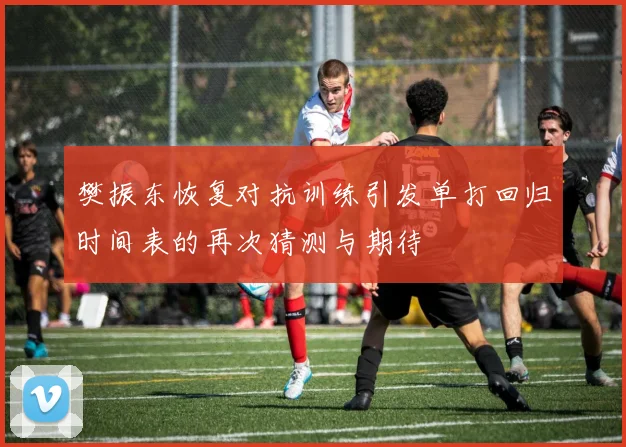 樊振东恢复对抗训练引发单打回归时间表的再次猜测与期待
